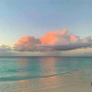 午夜时刻毛片免费观看
