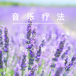 午夜时刻毛片免费观看
